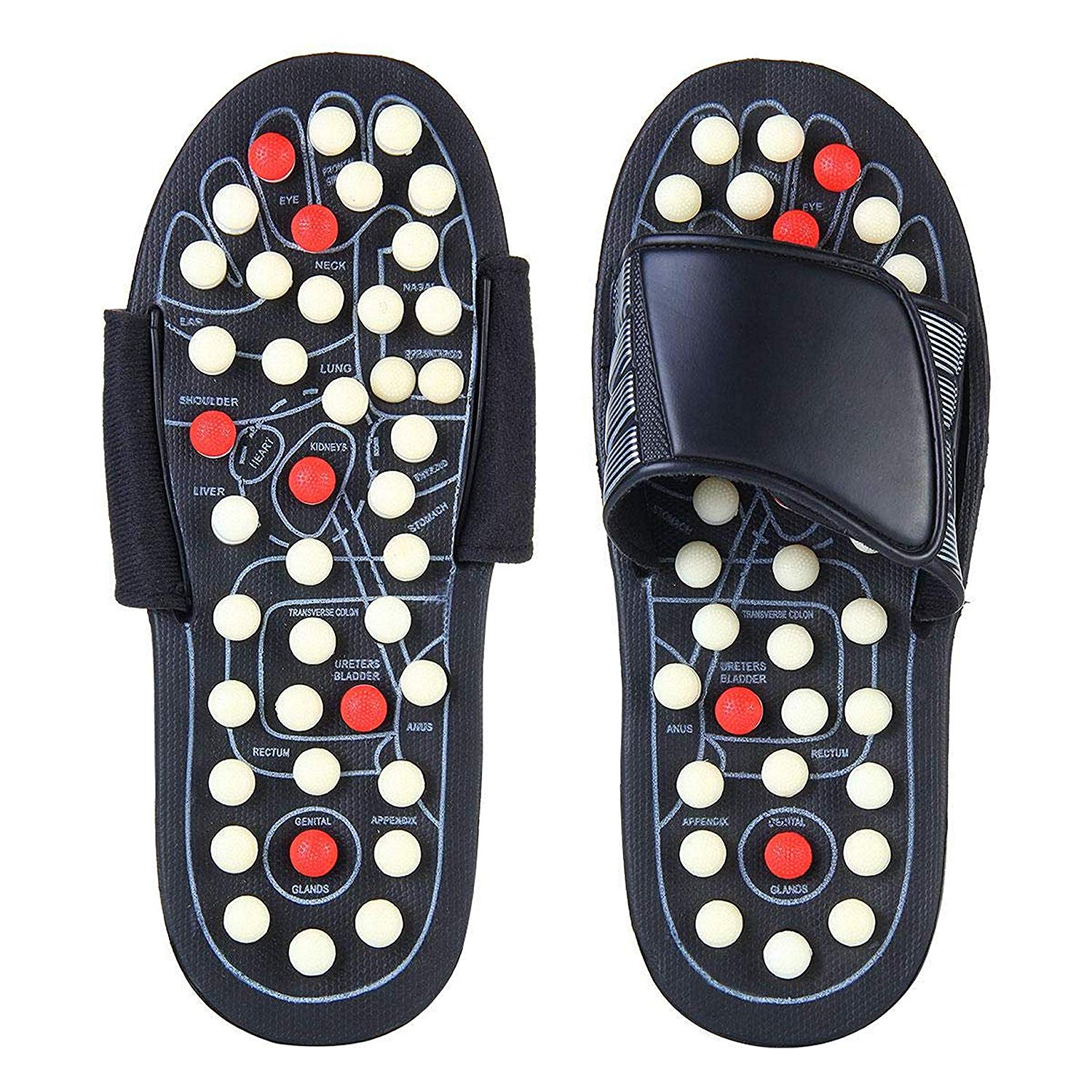 Magnetic Therapy Spring Acupressure Paduka Accu Slippers for Full Body Blood Circulation Natural Paduka Slippers For Men and Women (Unisex) Multisize Magnetic Therapy Spring Acupressure Paduka Accu Slippers for Full Body Blood Circulation Natural Paduka Slippers For Men and Women (Unisex) Multisize